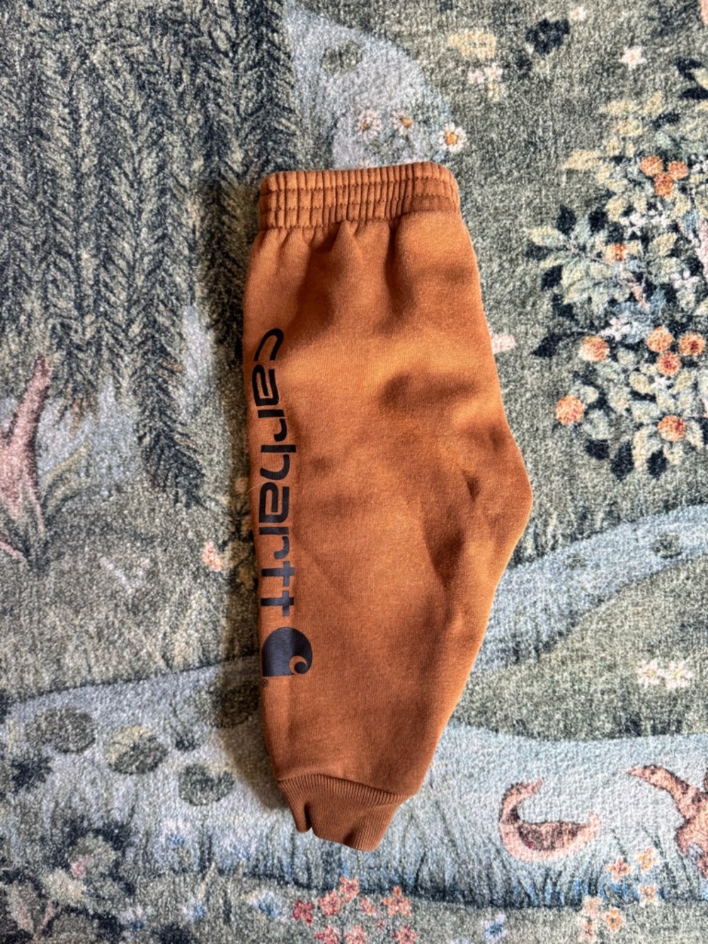 Carhartt Baby Brown Sweatpants, 12 Months